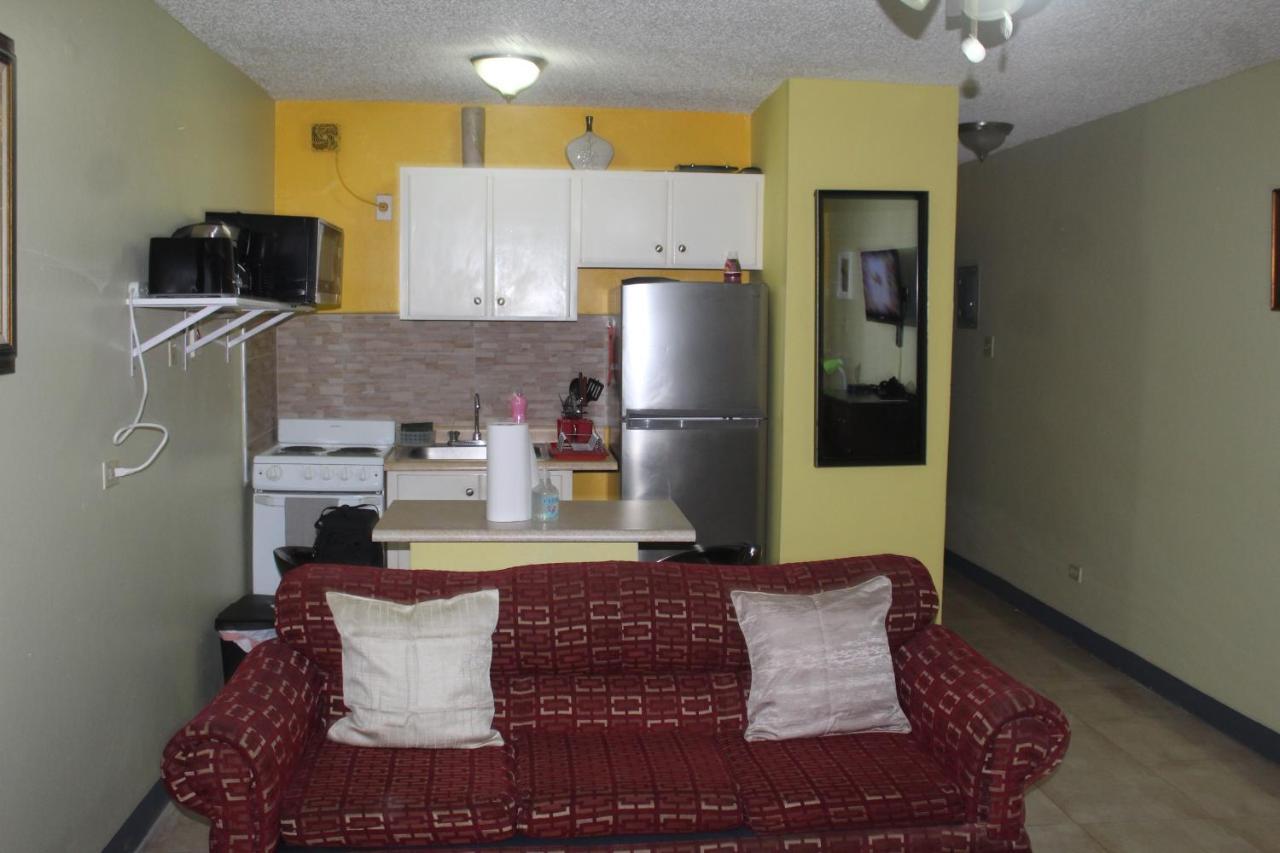 Comfy, Central & Elegant Studio New Kingston Esterno foto