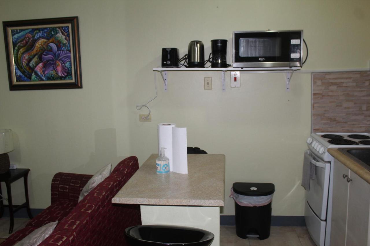 Comfy, Central & Elegant Studio New Kingston Esterno foto
