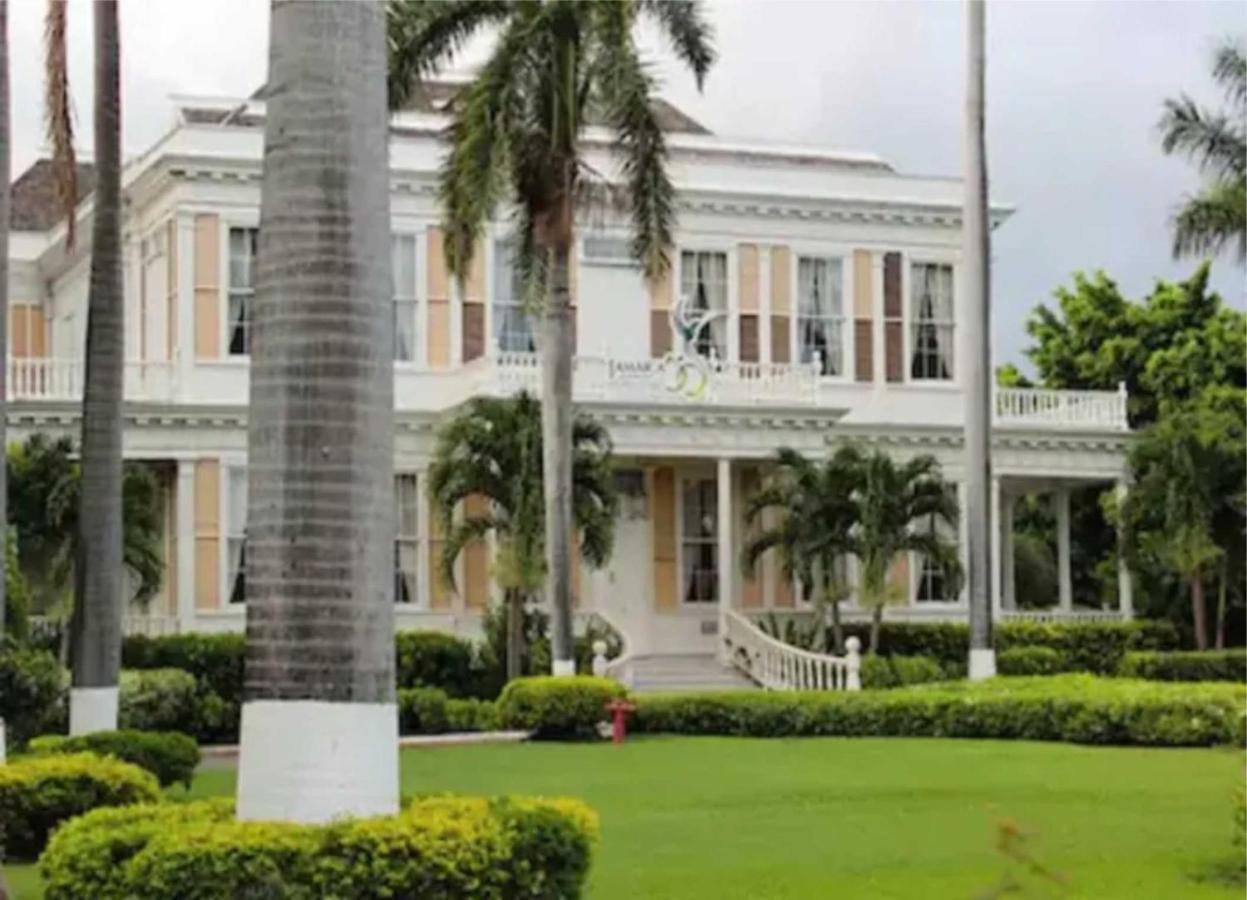 Comfy, Central & Elegant Studio New Kingston Esterno foto